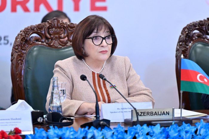      Sahibə Qafarova:    "Bu, ilk növbədə İlham Əliyevin fəaliyyətinin nəticəsi idi"   