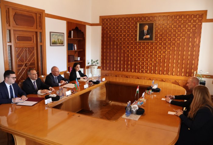 Azerbaijani, Hungarian constitutional courts discuss further development of cooperation