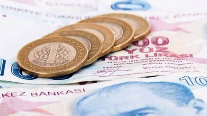 Türkiyə lirəsi tarixi minimuma enib