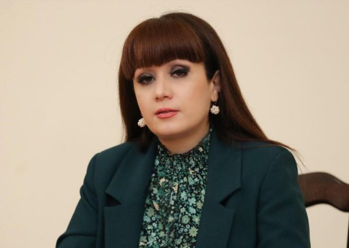    İrəvan İlham Əliyevin bəyanatını alqışlayıb   