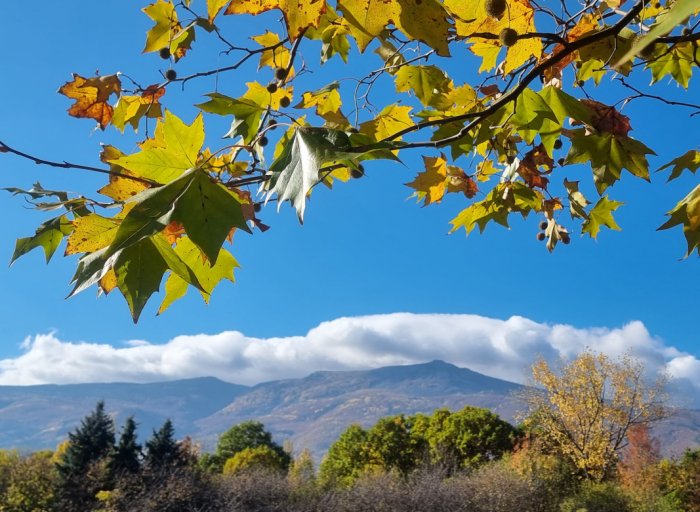 Sabahın hava proqnozu