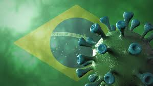 Braziliyada yarasalarda yeni koronavirus növü tapılıb  
