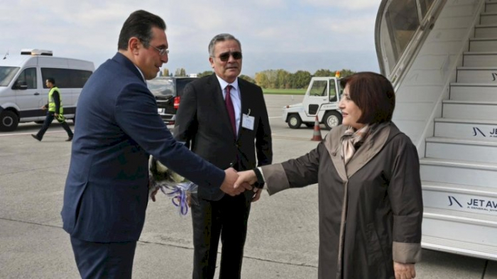    Sahibə Qafarova İsveçrəyə işgüzar səfər edib  