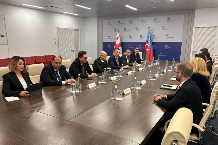 SOCAR Gürcüstana 2 milyard dollardan çox investisiya yatırıb