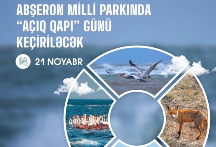 Abşeron Milli Parkına giriş ödənişsiz olacaq