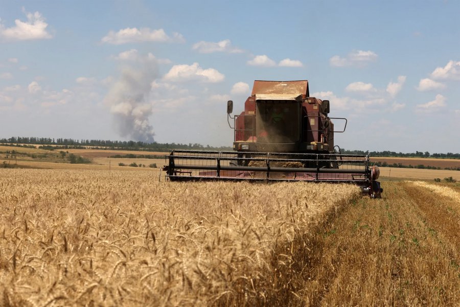   Kazakhstan boosts grain supply to Azerbaijan  