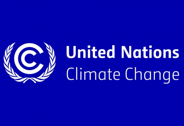    Türkiyə COP31-ə ev sahibliyi edəcək     
