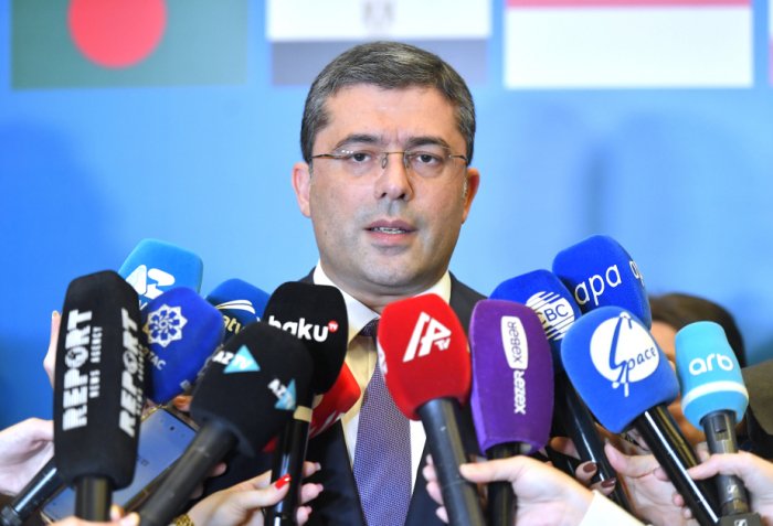 "Media Mükəmməllik Mərkəzinin yaradılması D-8 ölkələrinin əməkdaşlığını gücləndirəcək"