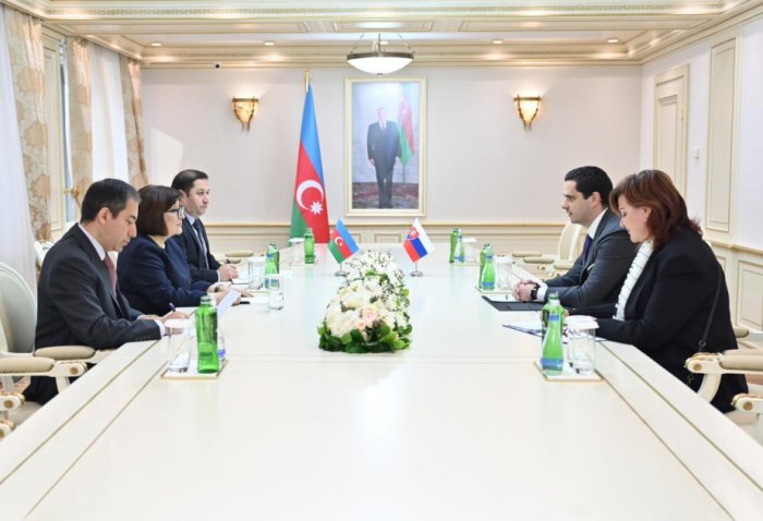 Azerbaijani, Slovakian legislative authorities explore cooperation