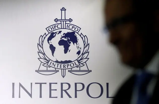   Interpol hat vor den Bedrohungen durch transnationale Betrugszentren gewarnt  