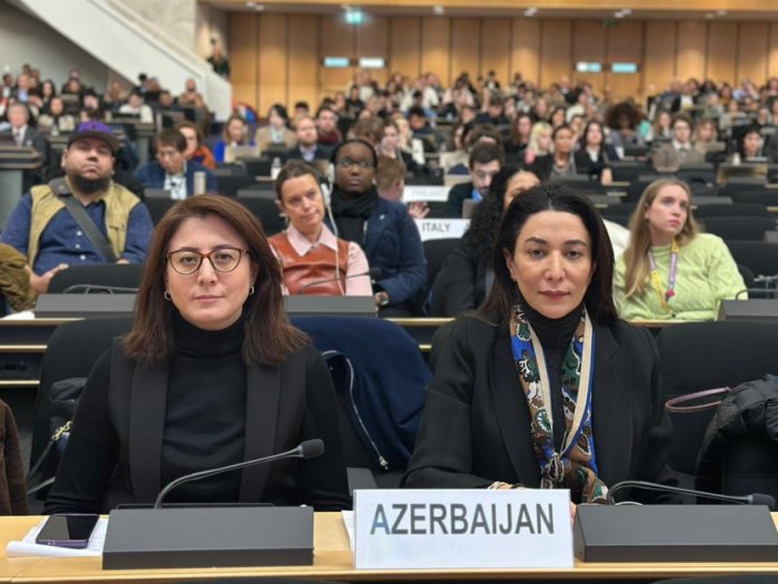   Azerbaijani Ombudsperson attends UN Business and Human Rights Forum in Geneva  