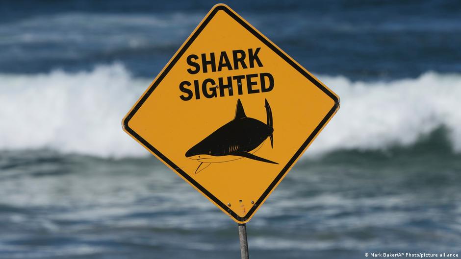 Woman killed in shark attack in Australia