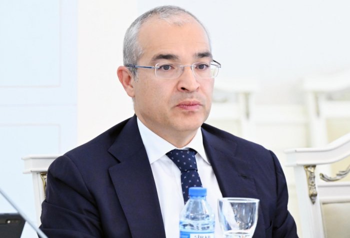   Minister: Foreign direct investments in Azerbaijan has increased  