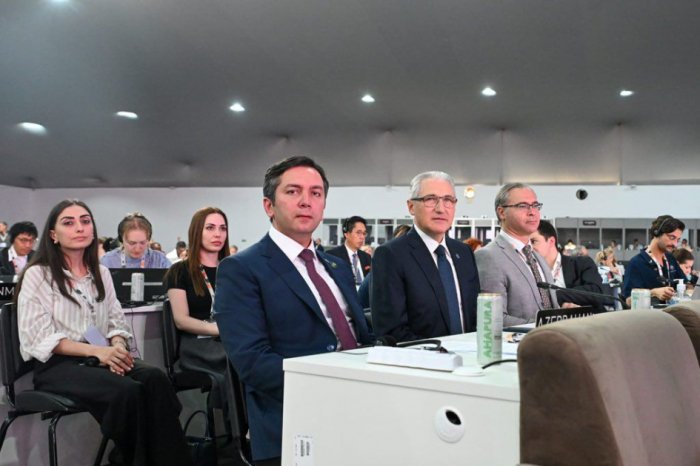   Deputy FM: Azerbaijan is committed to multilateralism  
