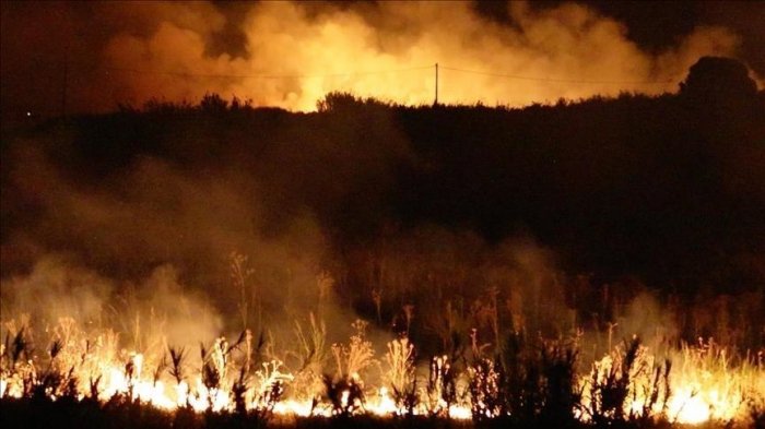 S. Korea puts out wildfire in northeastern province after 17-hour battle