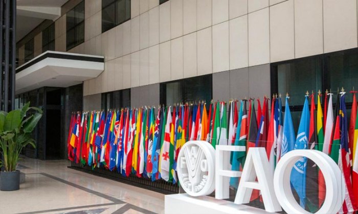 La facture mondiale des importations alimentaires devrait grimper de 8% en 2025, selon la FAO