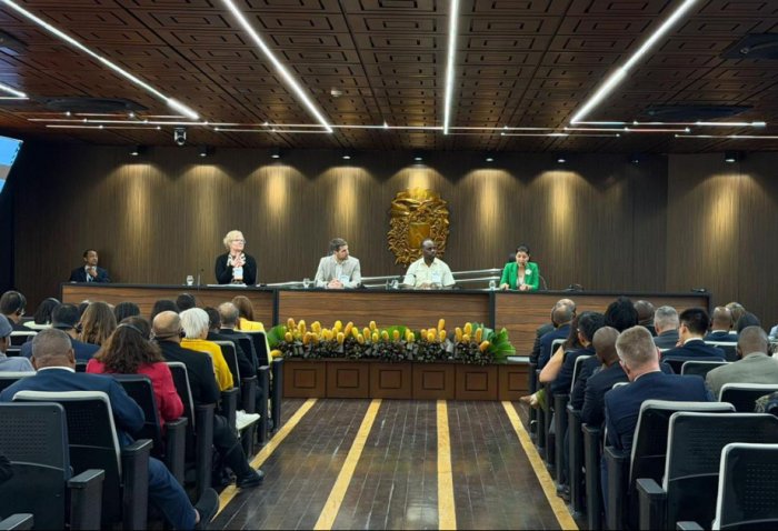 Belemdə "COP29"un nəticələrindən bəhs edilib