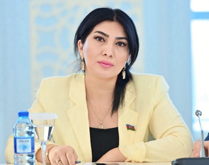 Deputat kənd kitabxanalarının bağlanmasına etiraz etdi