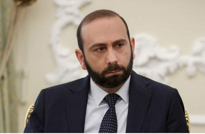 Ermənistanın XİN başçısı Danimarkaya səfər edəcək  
