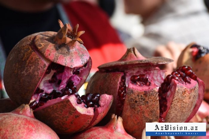 Göyçay şəhərində ənənəvi "Nar Festivalı" keçirilib  
