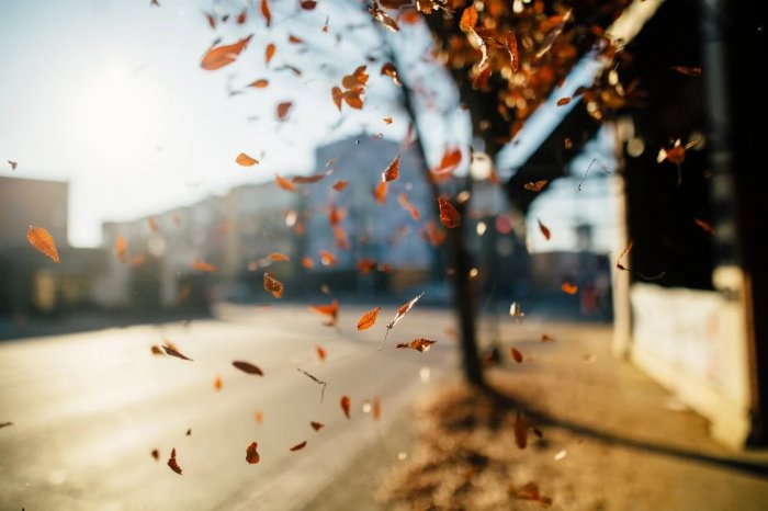 Sabahın hava proqnozu