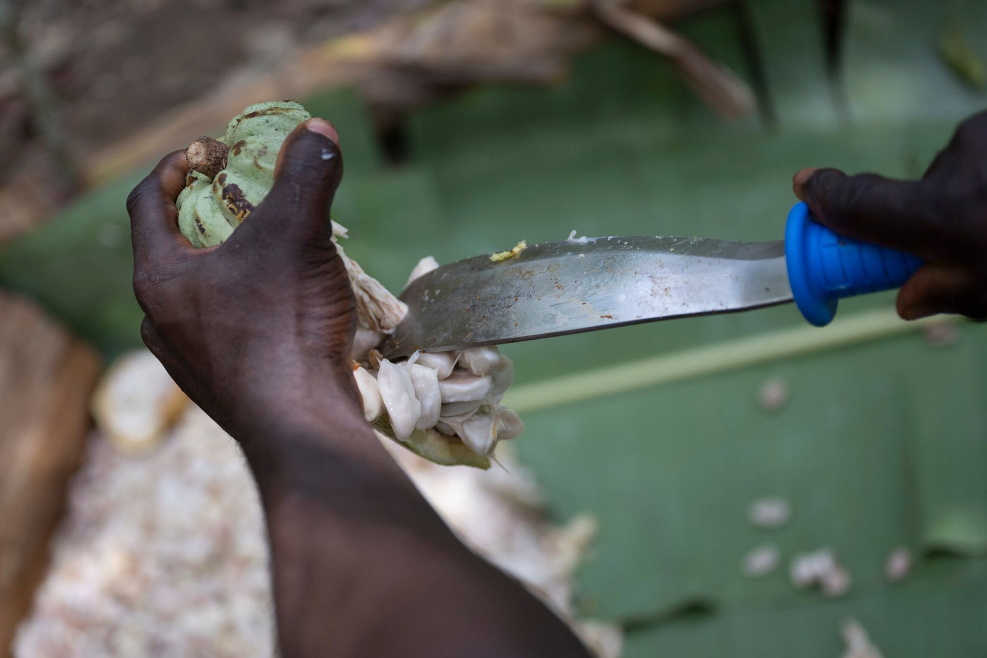   The cost of cheap sweetness: Chocolate still depends on child labor -   OPINION    