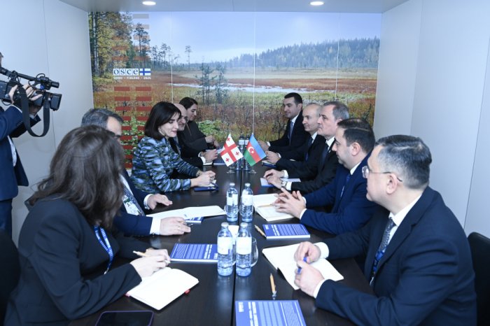  Azerbaijani FM informs his Georgian counterpart about peace process after Washington Summit 