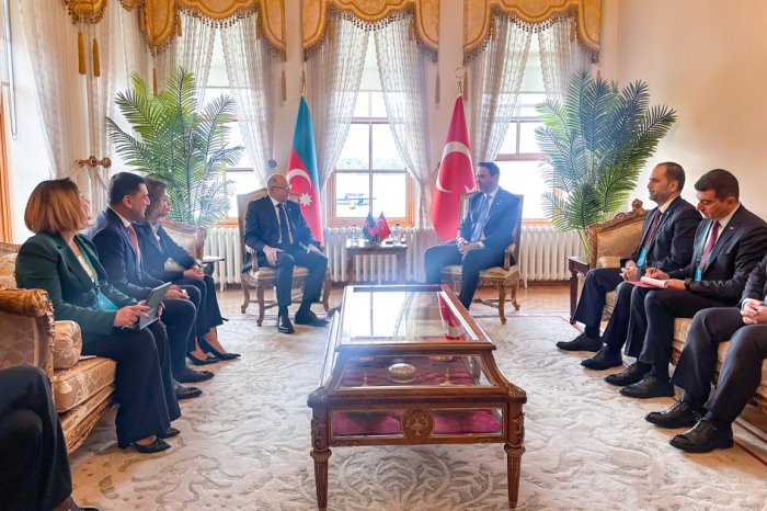   Azerbaijani, Turkish energy ministers meet in Istanbul  