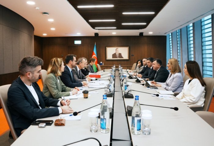 Azerbaijan, OECD discuss cooperation