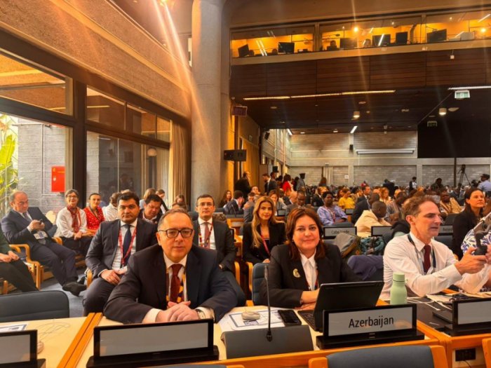 Azerbaijan`s national statement presented at UN Environment Assembly