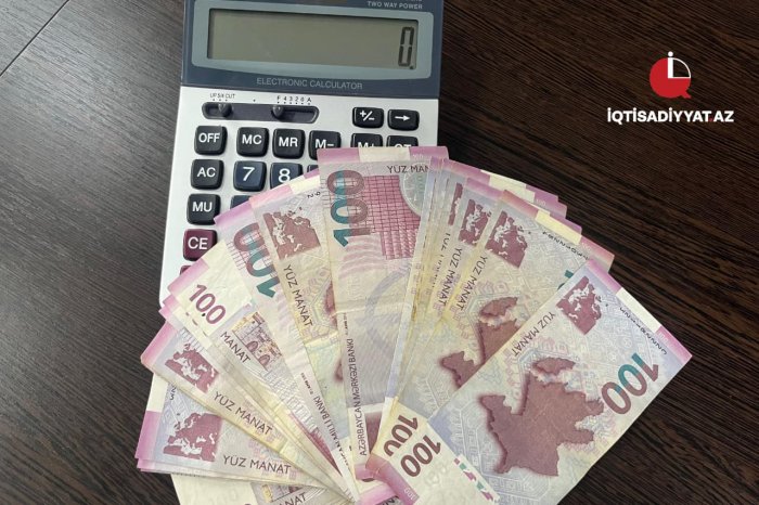 Bu il problemli kreditlərin həcmi artıb  
