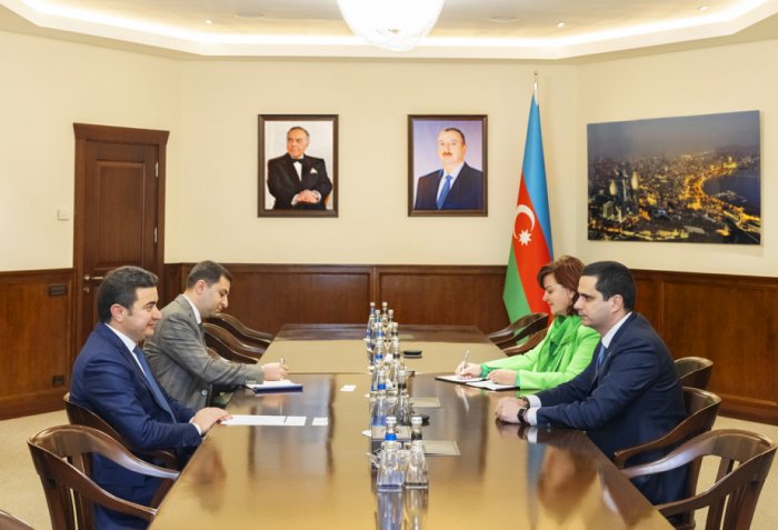 Azerbaijan and Slovakia discuss aviation cooperation