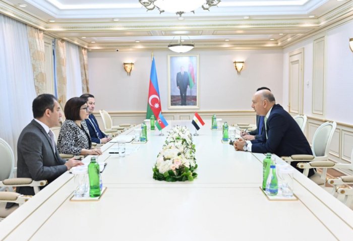 Azerbaijan, Egypt discuss interparliamentary relations