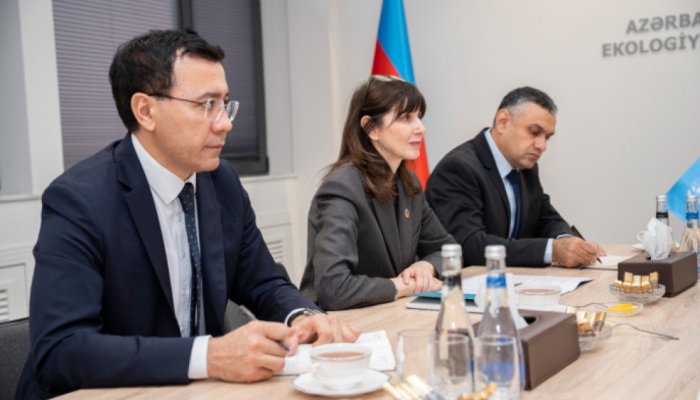 Azerbaijani Ministry of Ecology, UN explore cooperation