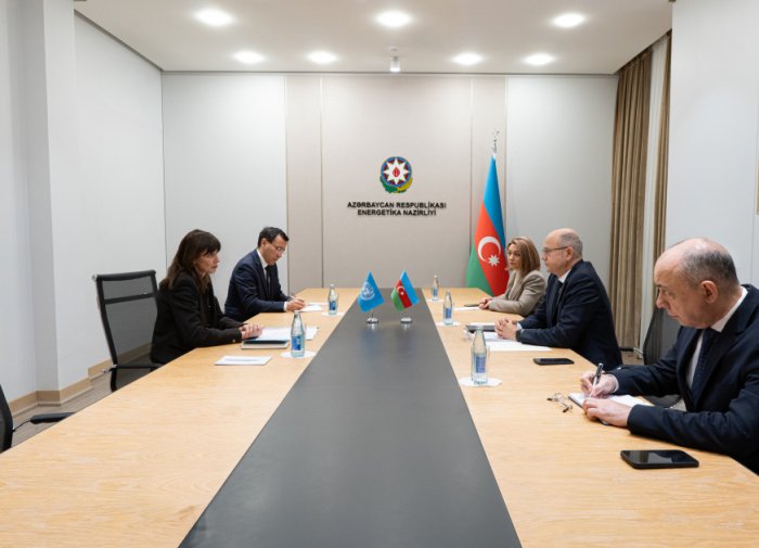 Azerbaijani Energy Minister meets with outgoing UN Resident Coordinator