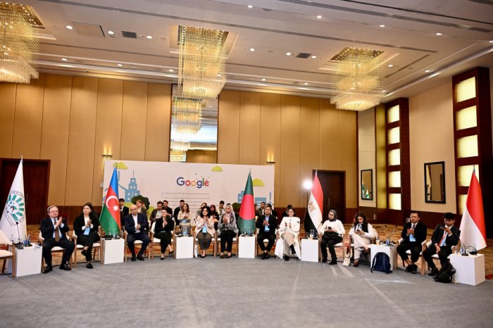 D-8 Baku Youth Declaration adopted on second day of Youth Dialogue