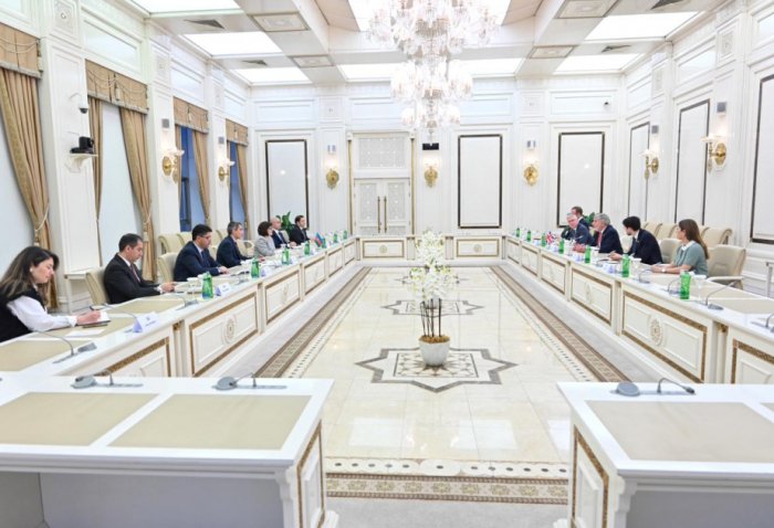 Azerbaijan, UK discuss strengthening interparliamentary ties