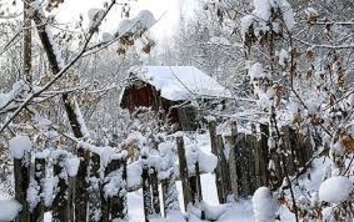 Sabah Bakıya yağış, rayonlara qar yağacaq