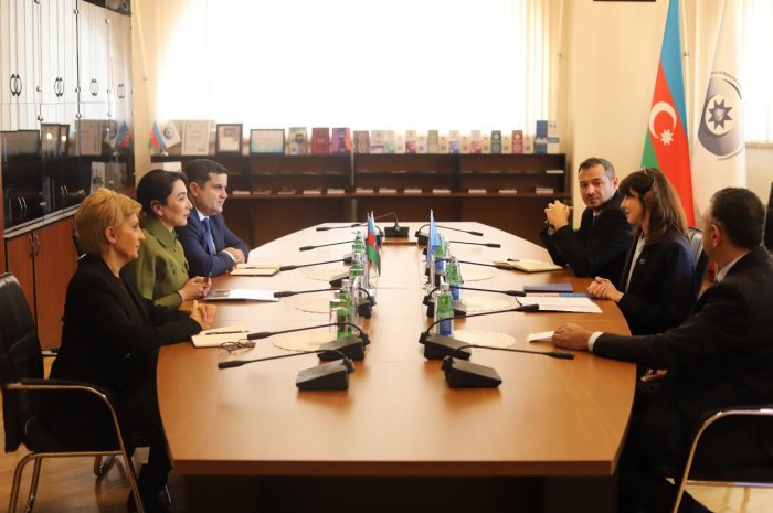 Ombudsman BMT-nin rezident əlaqələndiricisi ilə görüşüb