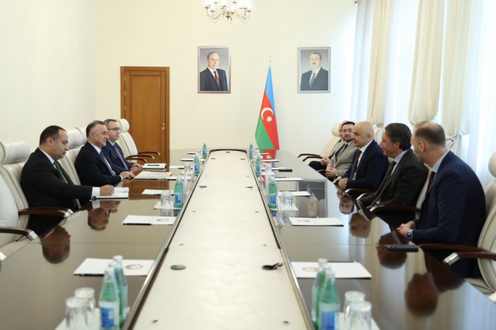 Azerbaijani Health Minister meets with medical specialists of high international repute
