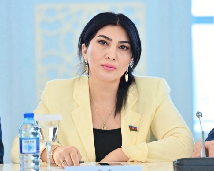 Deputat “Türkçülük işığında” mövzusunda ustad dərsi keçdi
