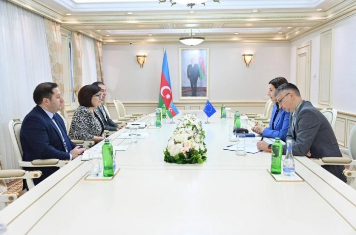   Sahiba Gafarova traf sich mit dem Leiter der EU-Delegation in Aserbaidschan  