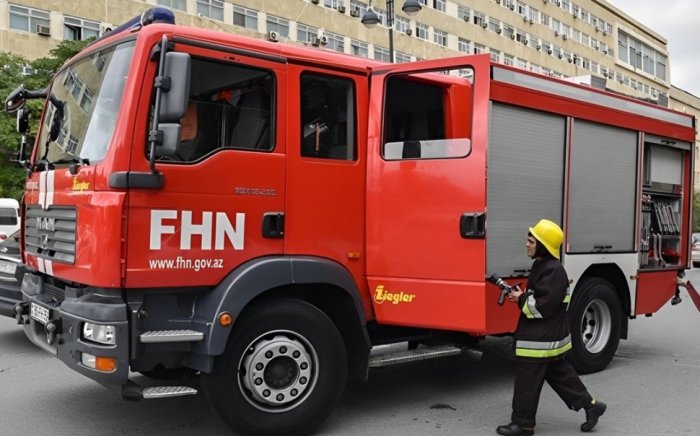FHN "Nərgiz" TM-də təlim keçirəcək