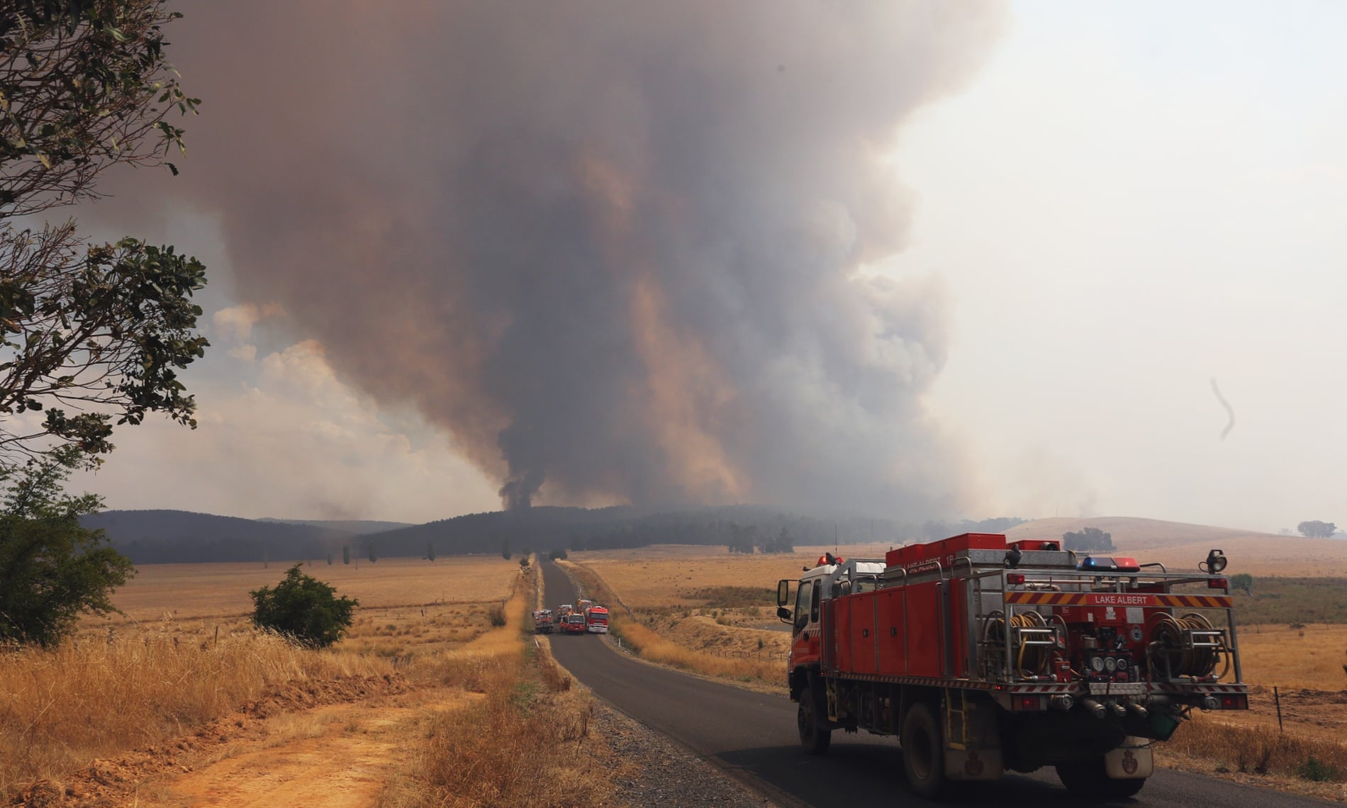 Heatwave sweeps S. Australia, triggering bushfire alerts