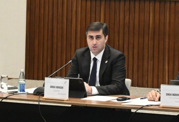   Baku Initiative Group establishes cooperation ties with more than 20 countries and overseas territories  