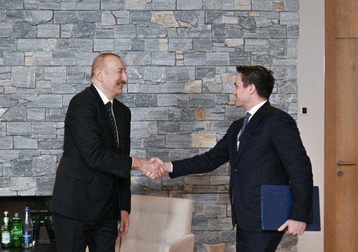    İlham Əliyev “Brookfield Asset Management”in prezidenti ilə görüşüb   