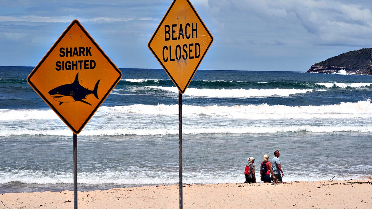 Boy, 12, dies from injuries after Sydney shark attack