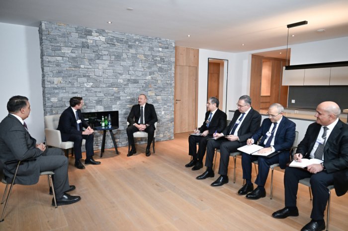   President Ilham Aliyev meets with President of Brookfield Asset Management in Davos  