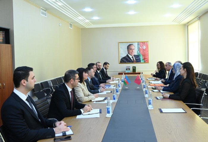 Azerbaijan, Morocco hold next round of political consultations