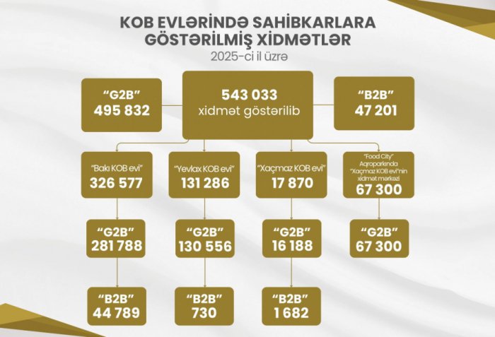 KOB evlərində sahibkarlara 543 mindən çox xidmət göstərilib